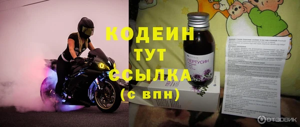 крисы Великий Новгород