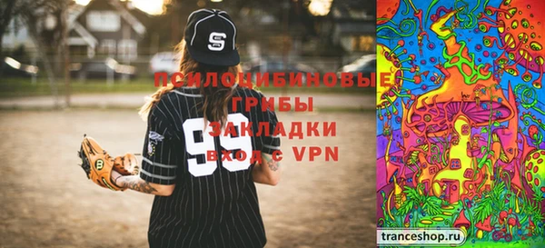 дурь Алексеевка