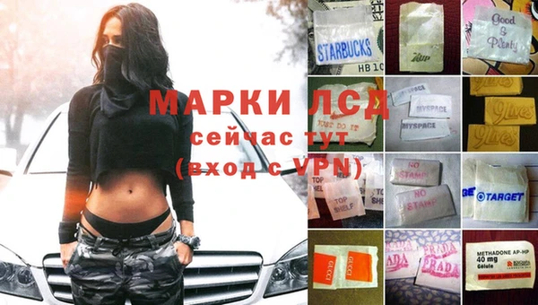 ешки Алзамай