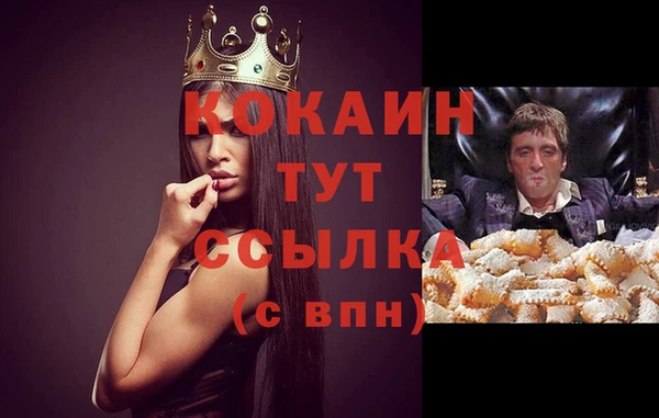 твердый Нягань