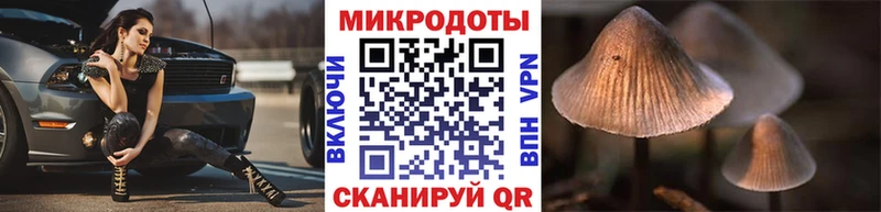 где найти наркотики  это официальный сайт  kraken ONION  Псилоцибиновые грибы Psilocybe  Буй 